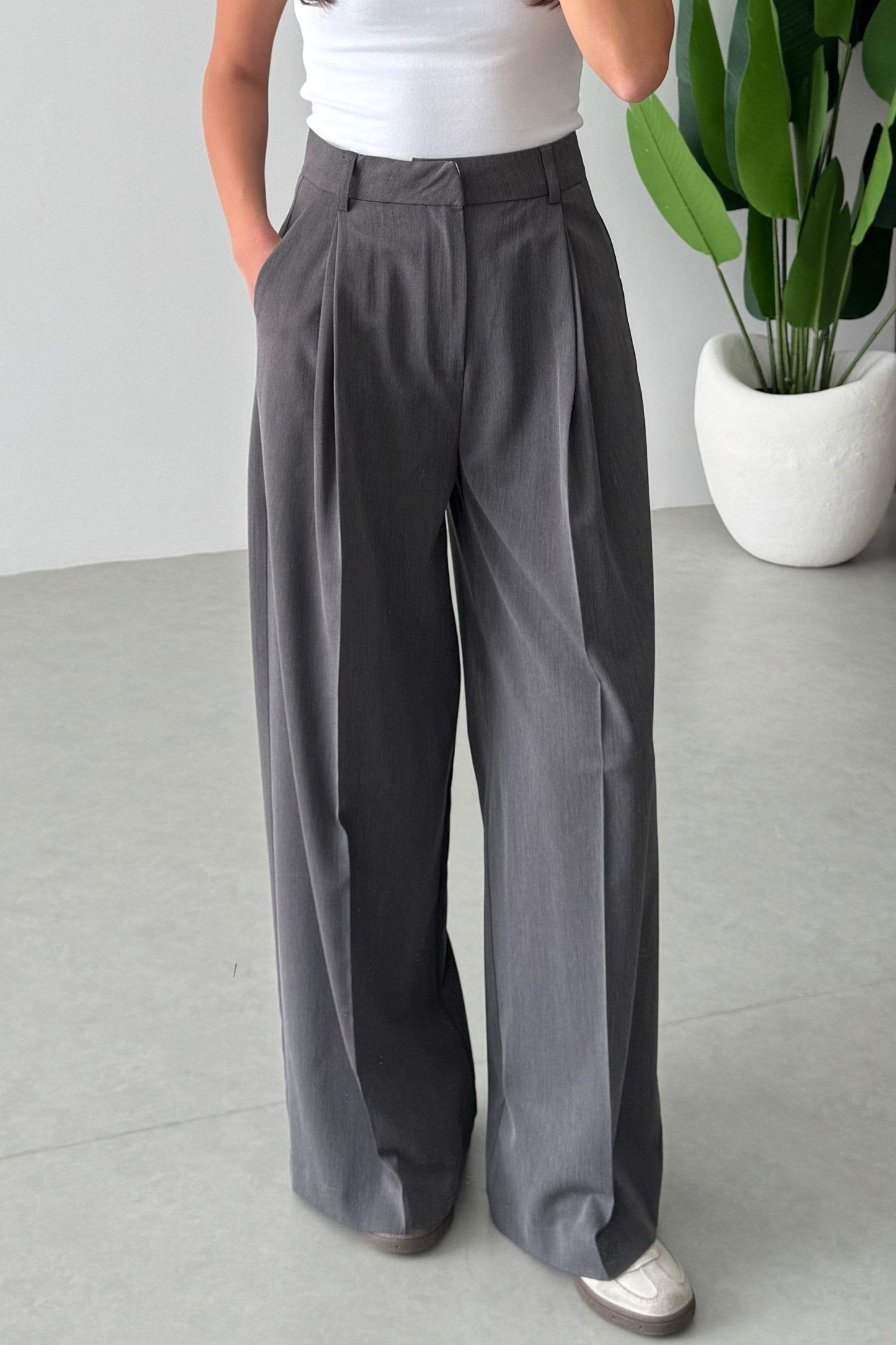 Elva Anthracite Pleated Palazzo Pants